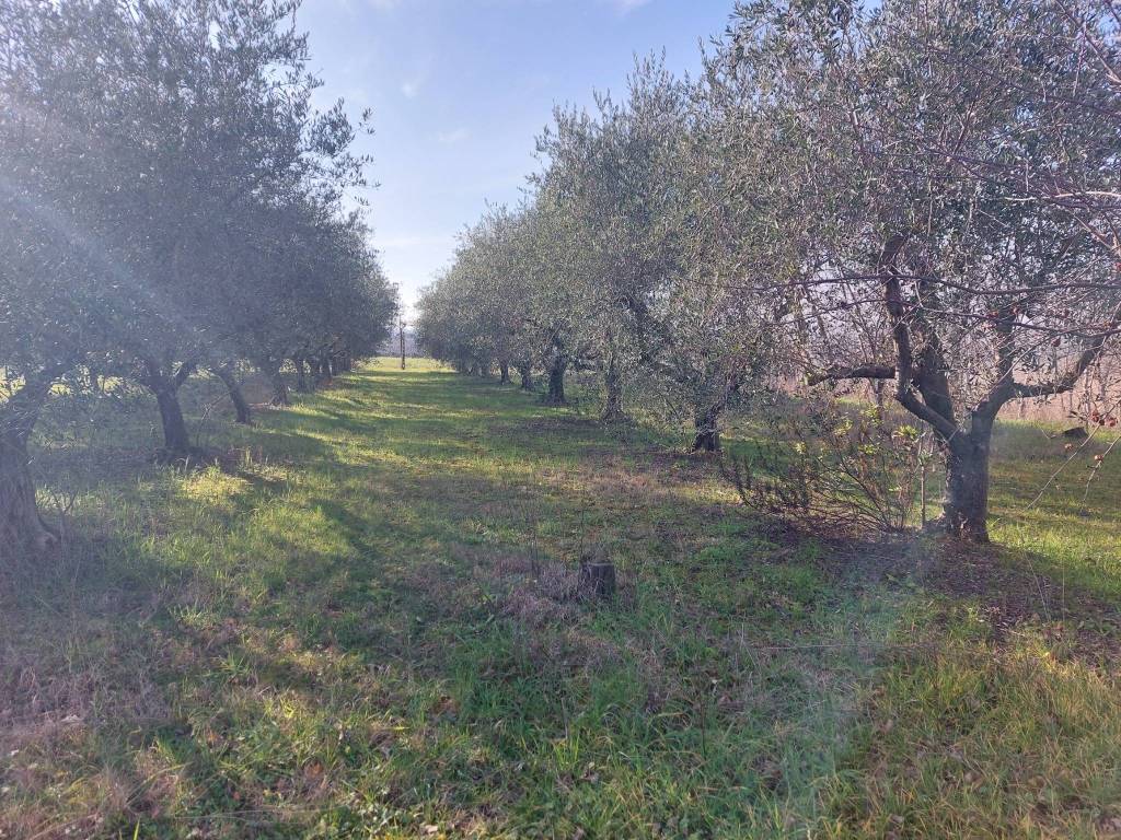 Terreno a Misano adriatico in Via Castellaro - Foto 3