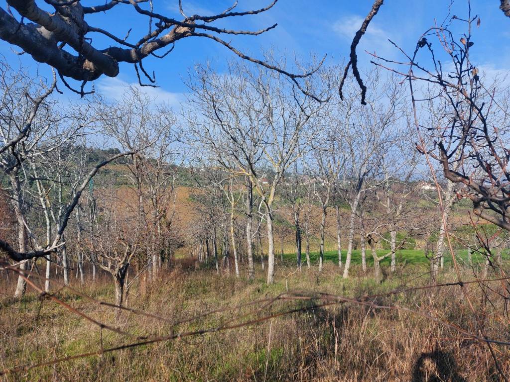 Terreno a Misano adriatico in Via Castellaro - Foto 4