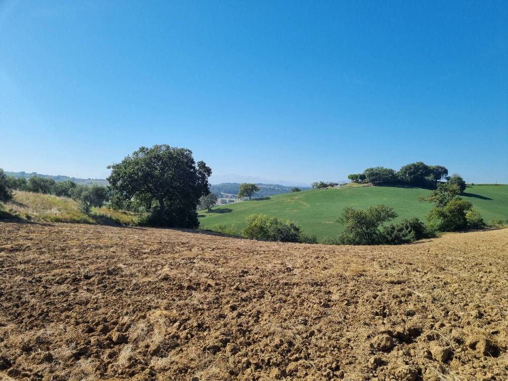 Terreno a Corridonia in Contrada Piedicolle - Foto 2