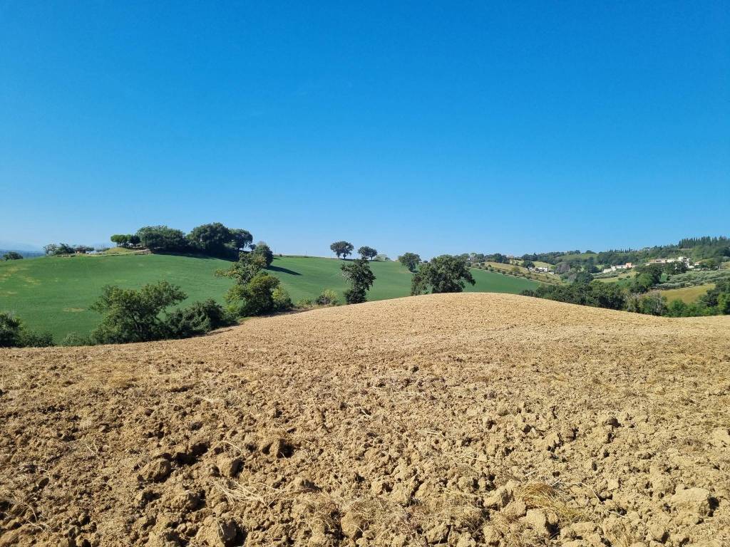 Terreno a Corridonia in Contrada Piedicolle - Foto 3