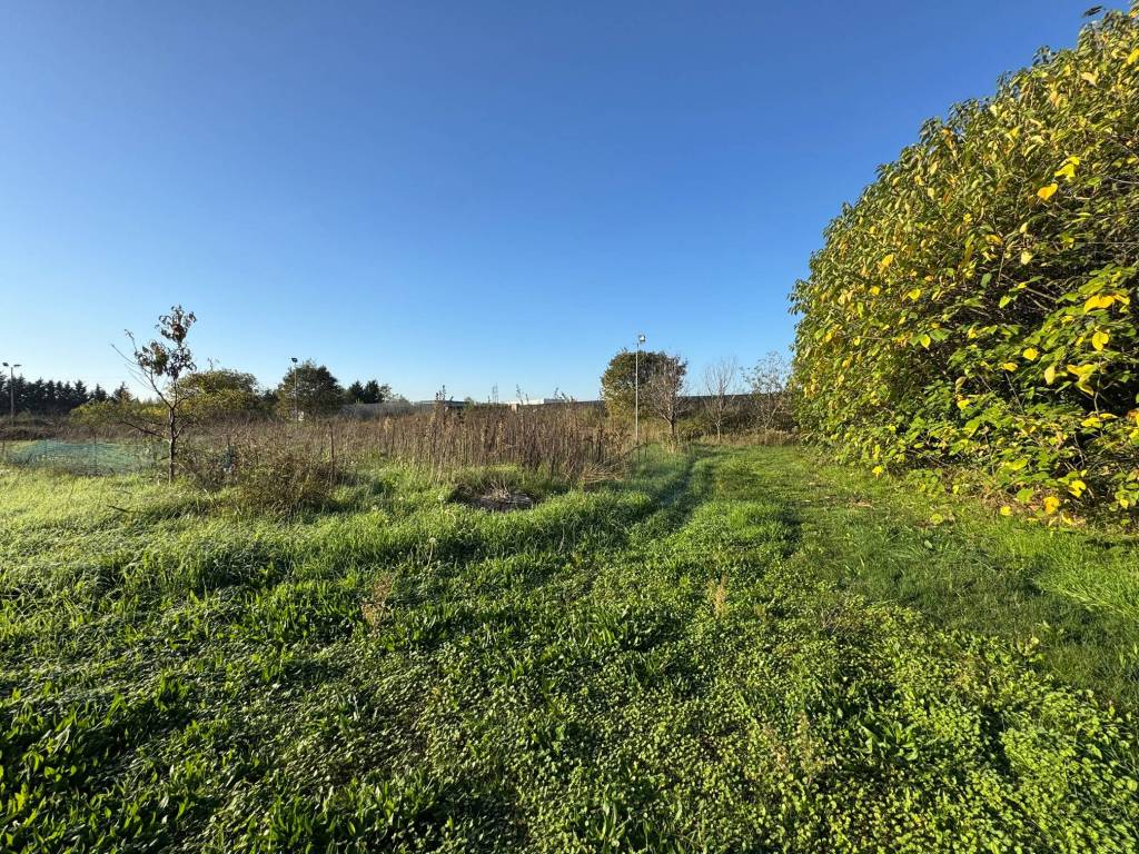 Terreno a San giovanni lupatoto in Strada Rodigina - Foto 3