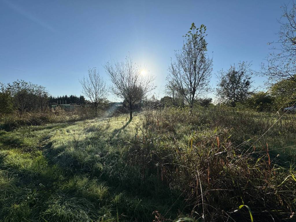 Terreno a San giovanni lupatoto in Strada Rodigina - Foto 4