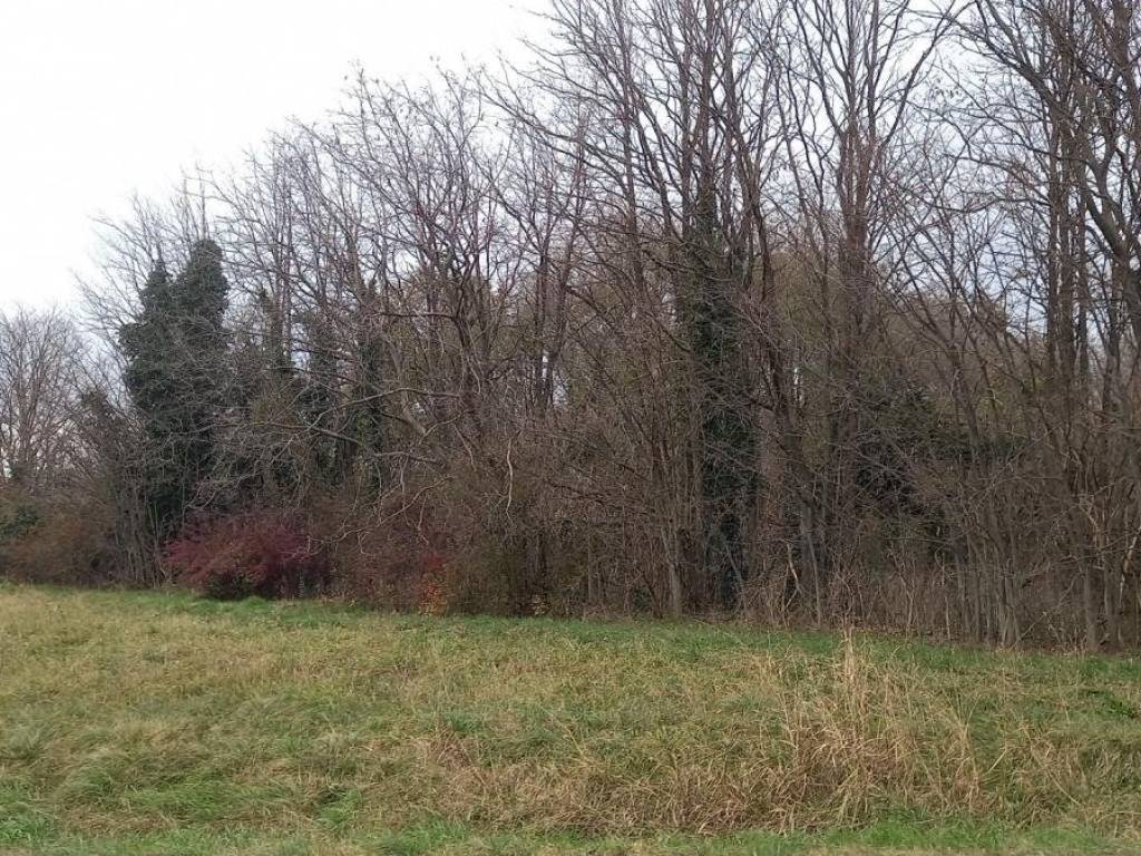 Terreno a Capriva del friuli in Via Moraro - Foto 2