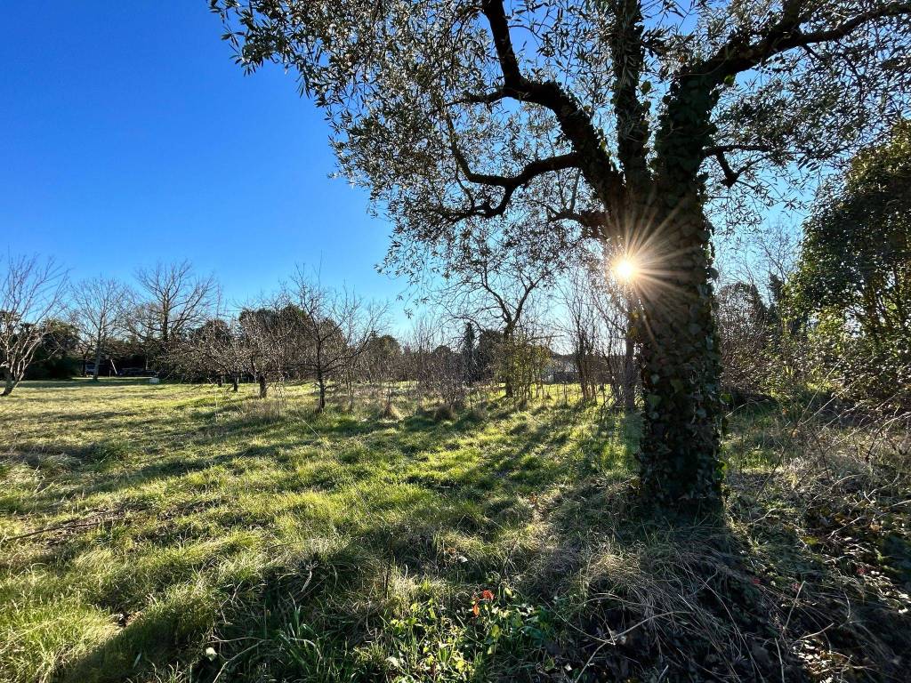 Terreno a Gradisca d'isonzo in Via Aquileia - Foto 2