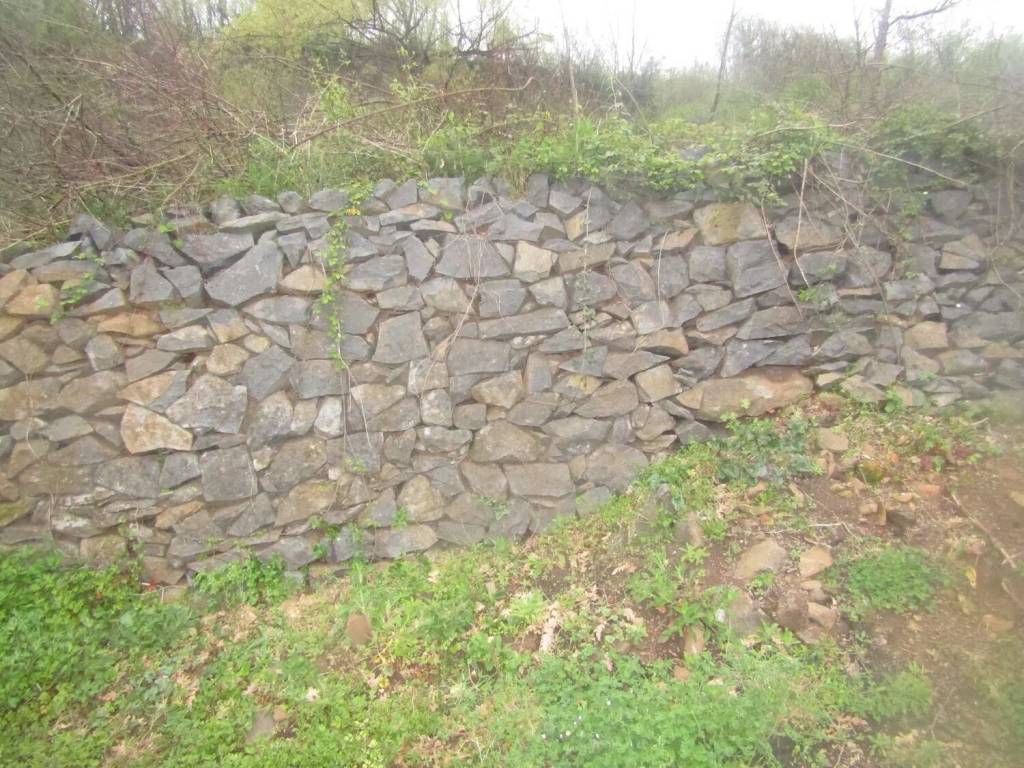 Terreno a Patrica in Via Fontana Dei Conti, 5 - Foto 4