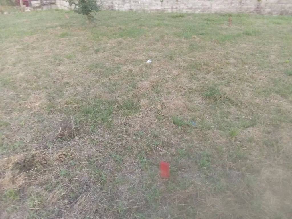 Terreno a Ceccano in Via Anime Sante, 110 - Foto 4