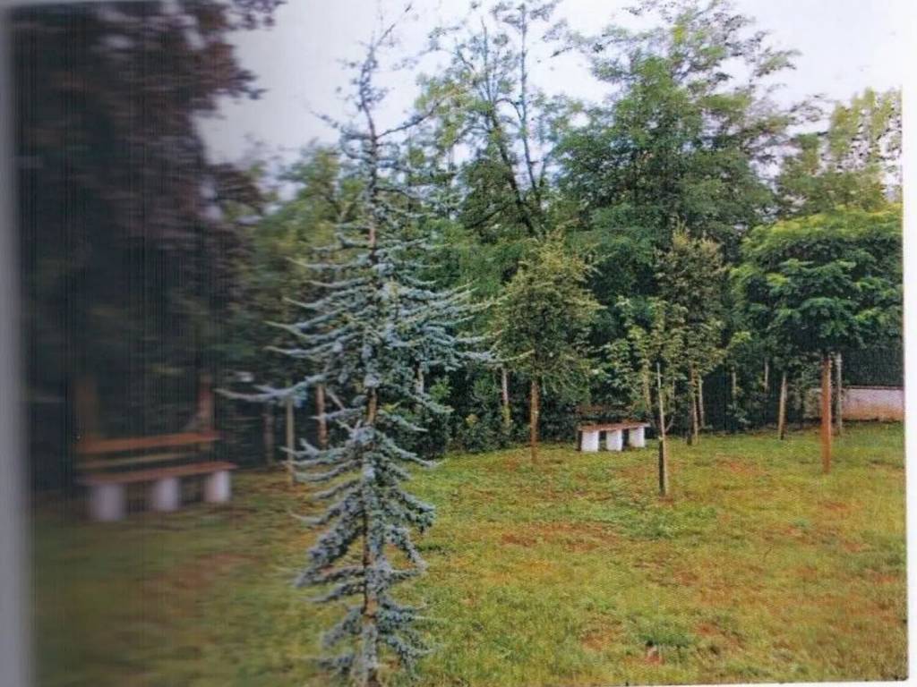 Terreno a Patrica - Foto 3