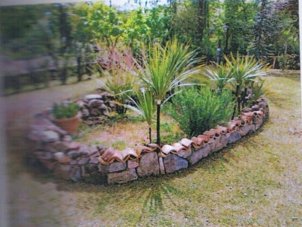 Terreno a Patrica - Foto 4