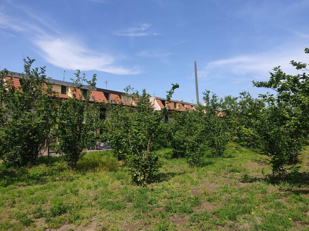 Terreno a Sirignano in Via Ciglio - Foto 3