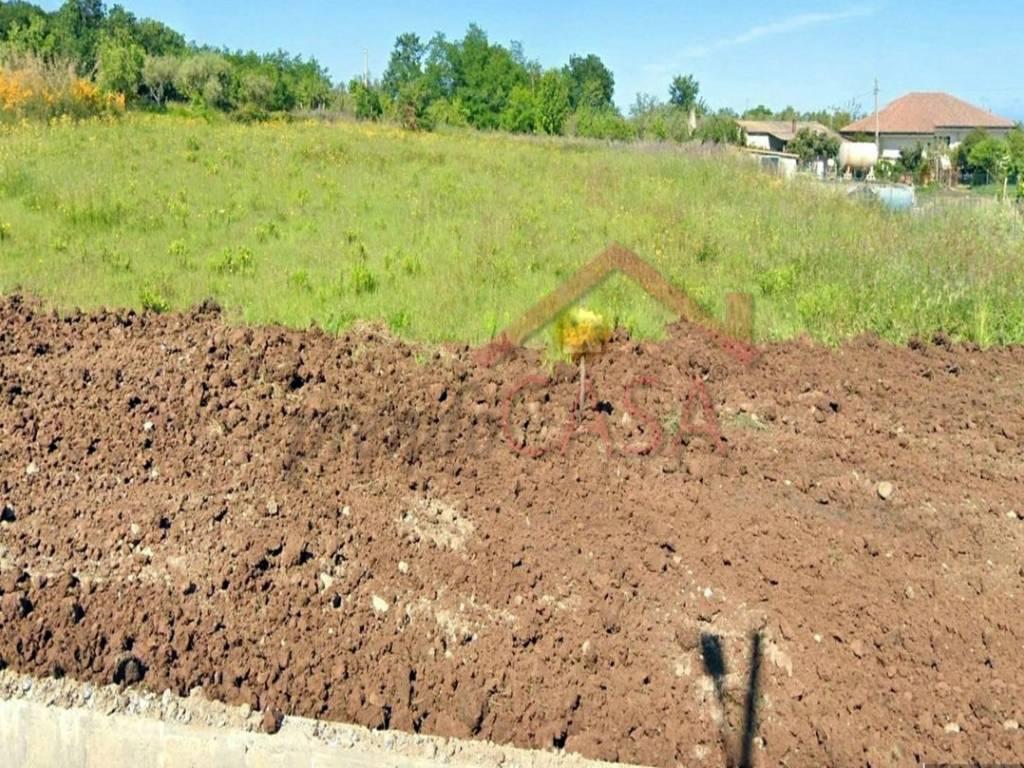 Terreno a Zambrone in Contrada Priscopio, 5 - Foto 5