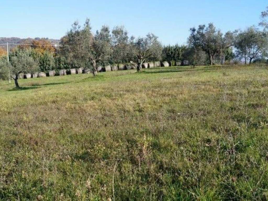 Terreno a Caiazzo in SP325, 13 - Foto 2