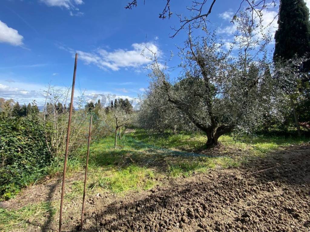 Appartamento a Rosignano marittimo in Via del Chiappino, 3 - Foto 3