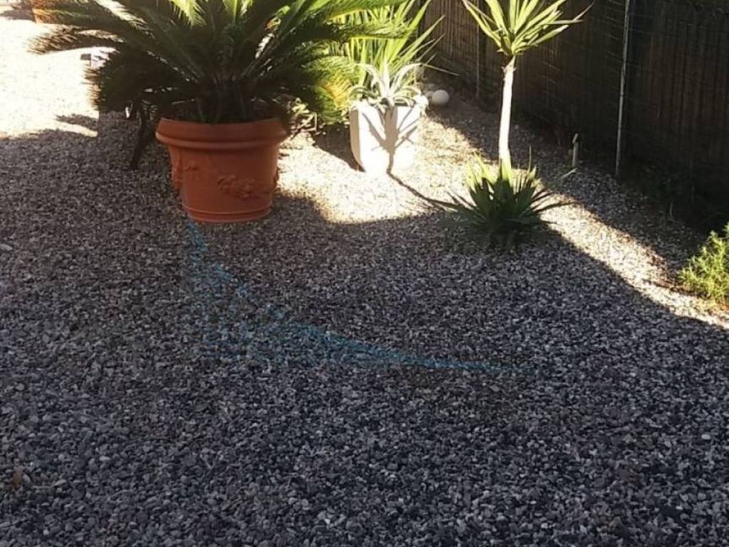 Villa a Rosignano marittimo - Foto 4