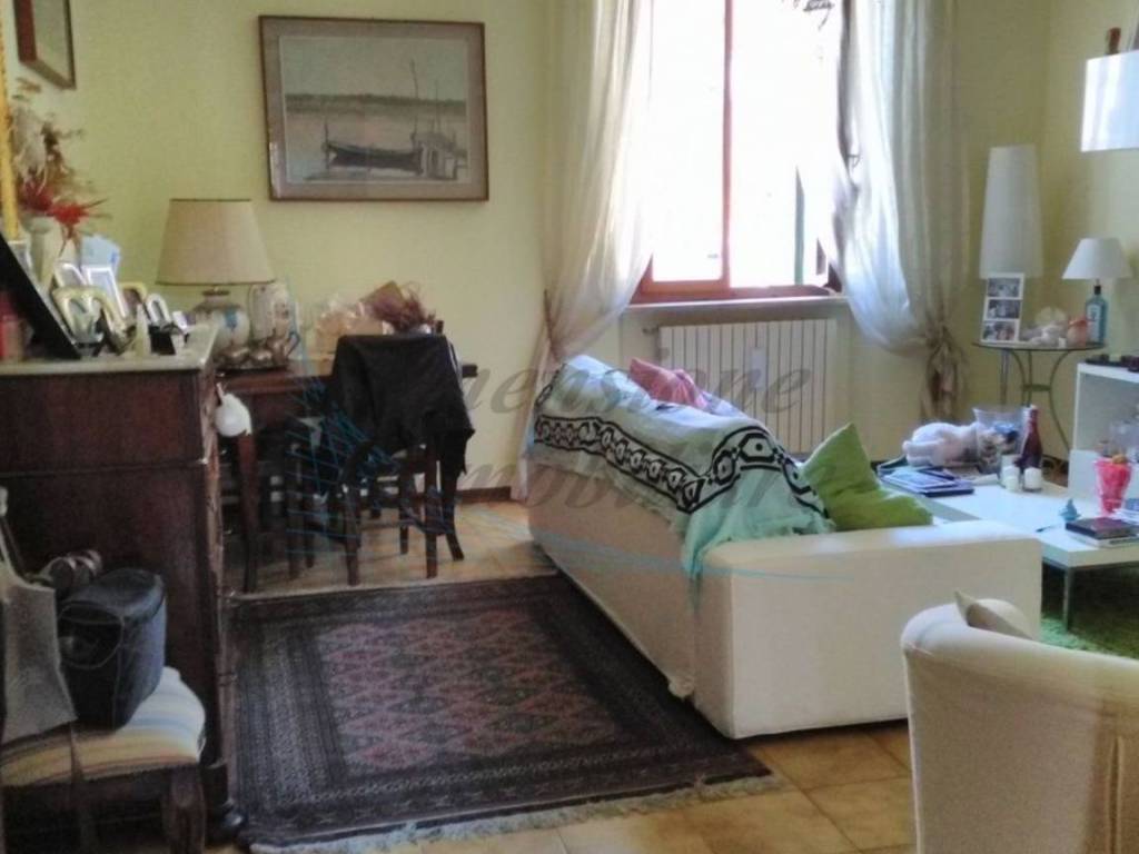 Appartamento a Rosignano marittimo - Foto 3