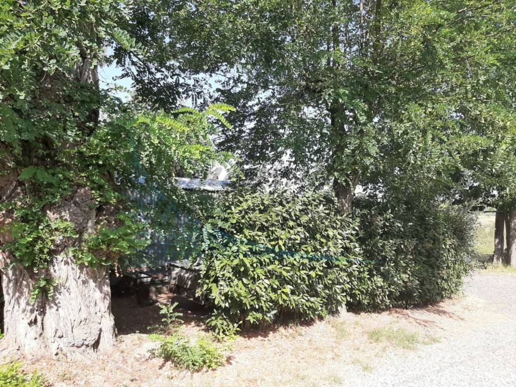 Appartamento a Rosignano marittimo in Via Don Minzoni - Foto 3