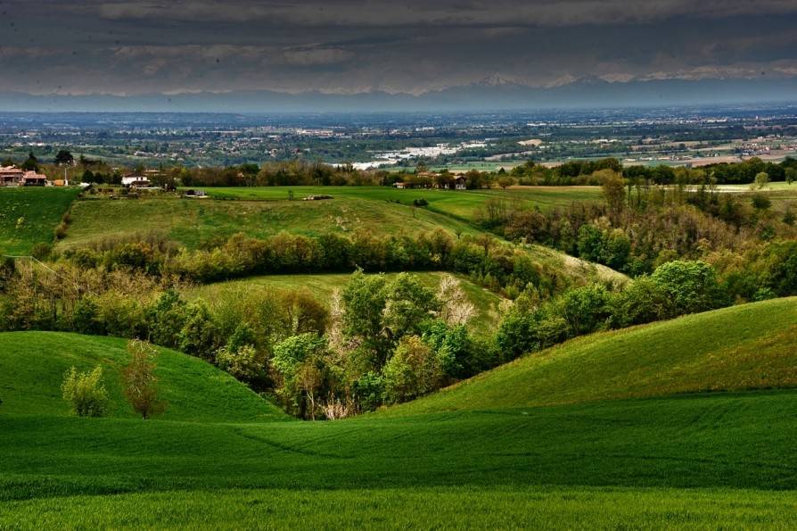 Terreno a Rivergaro - Foto 5