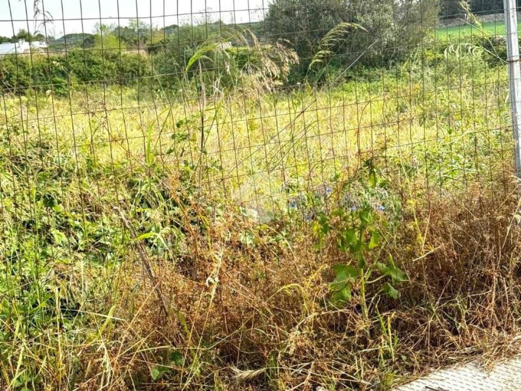 Terreno a Cavallino in Via Luigi Maggiulli - Foto 3