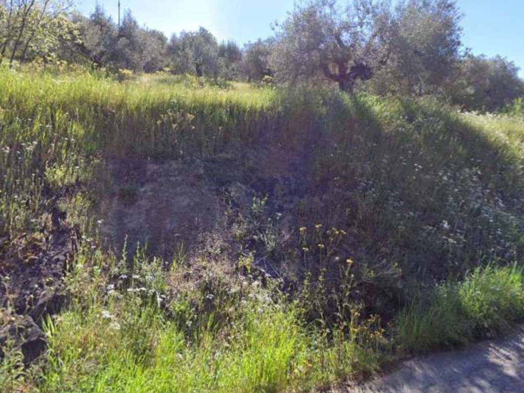 Terreno a Panicale - Foto 3