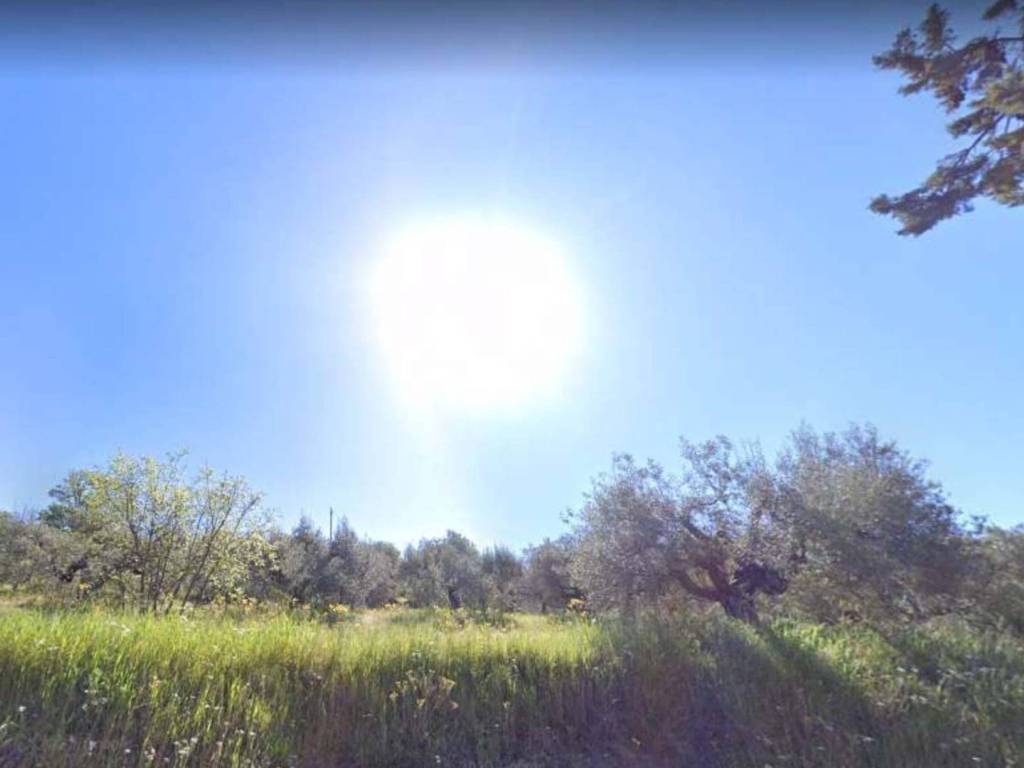 Terreno a Panicale - Foto 4
