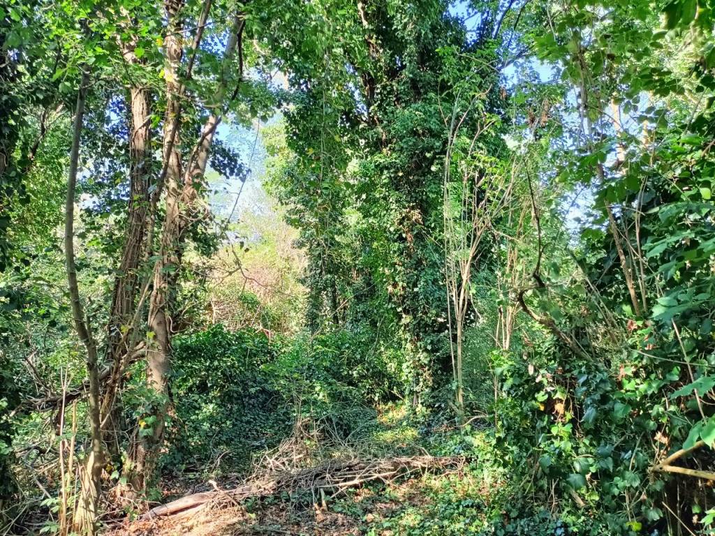 Rustico / casale a Fano in Via Papiria - Foto 3