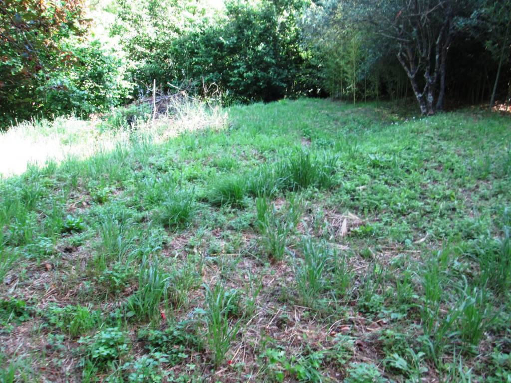 Casa indipendente a Pistoia in Via Crespole e Fabbriche - Foto 4