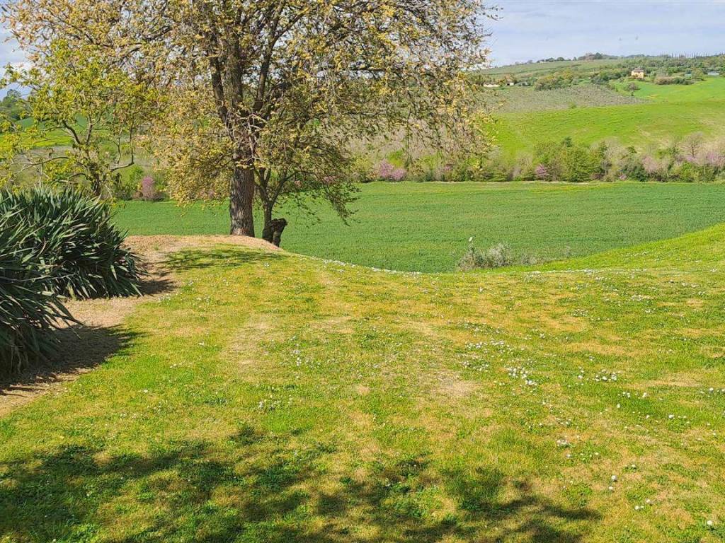 Rustico / casale a Scansano - Foto 3