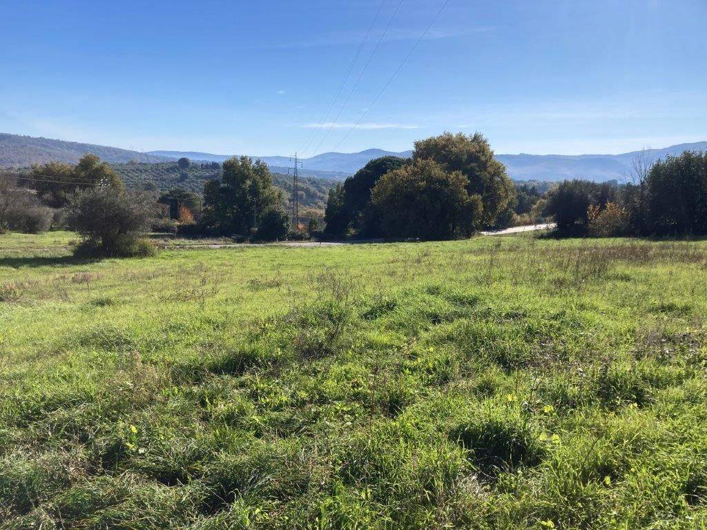Rustico / casale a Panicale in Strada Provinciale Castiglionese - Foto 4