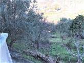 Rustico / casale a Cosenza in Contrada Muoio Piccolo - Foto 5