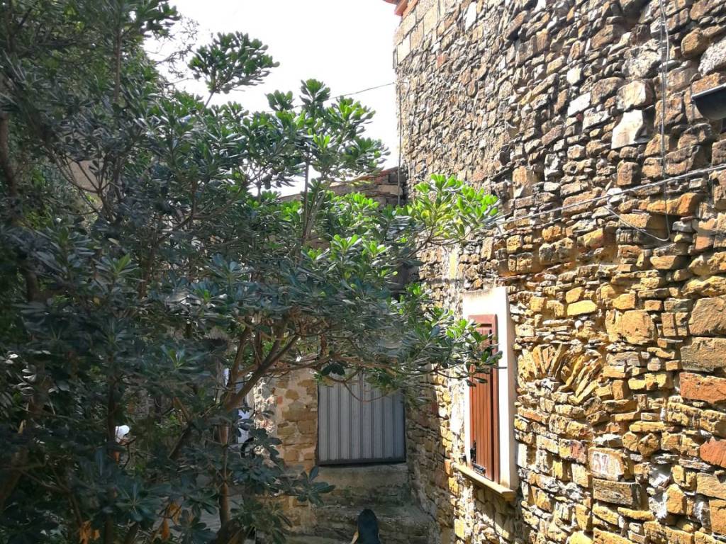 Rustico / casale a Pollica in Via Matteo Mazziotti - Foto 4
