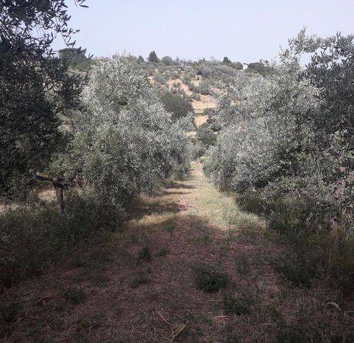 Terreno a Mombaroccio in Via Villagrande - Foto 2