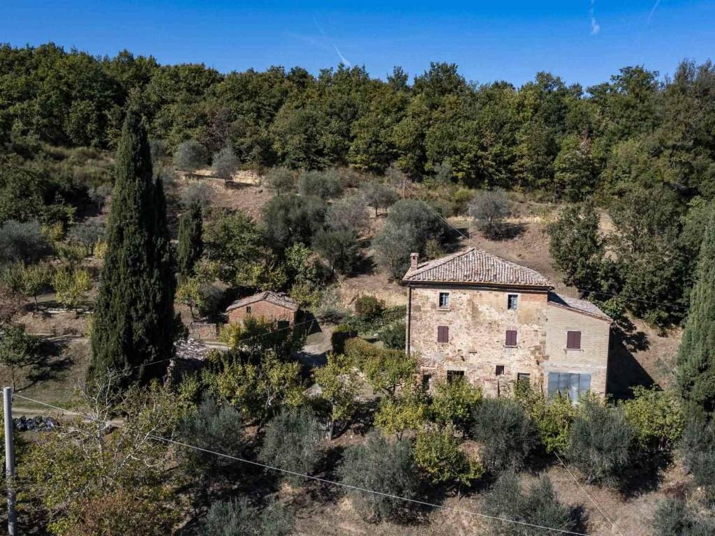 Rustico / casale a Montepulciano in Via di Fonte al Vescovo - Foto 3