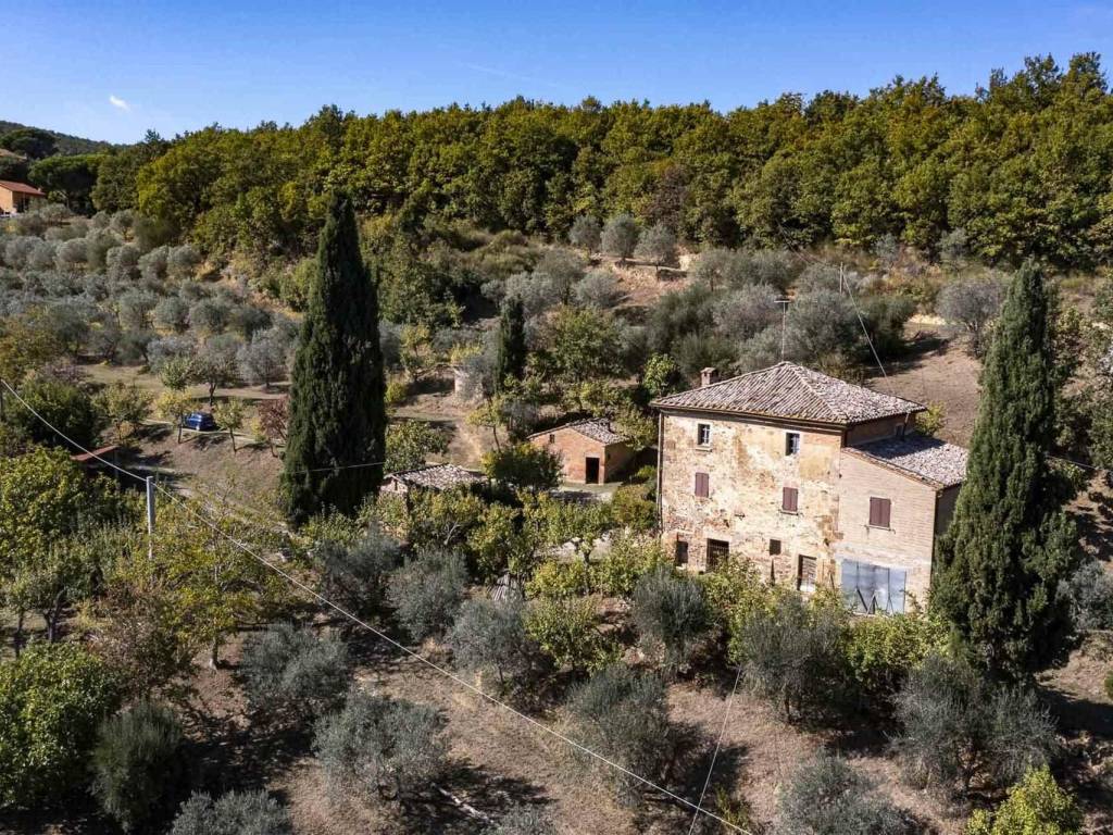 Rustico / casale a Montepulciano in Via di Fonte al Vescovo - Foto 4