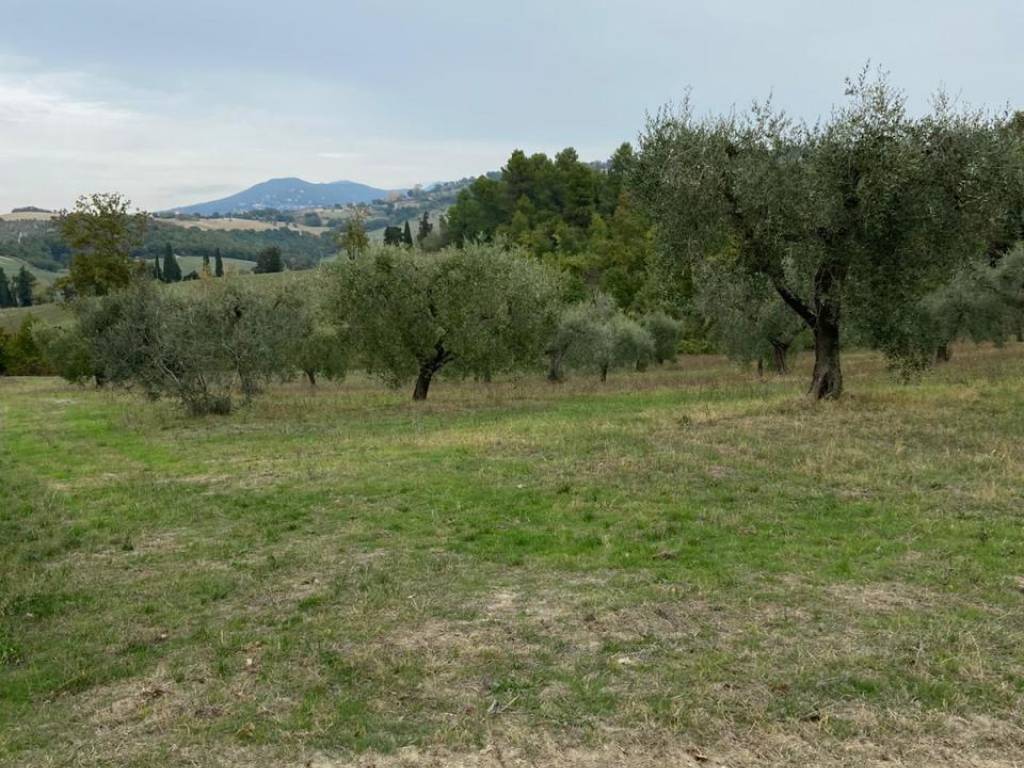 Terreno a Lugnano in teverina - Foto 2