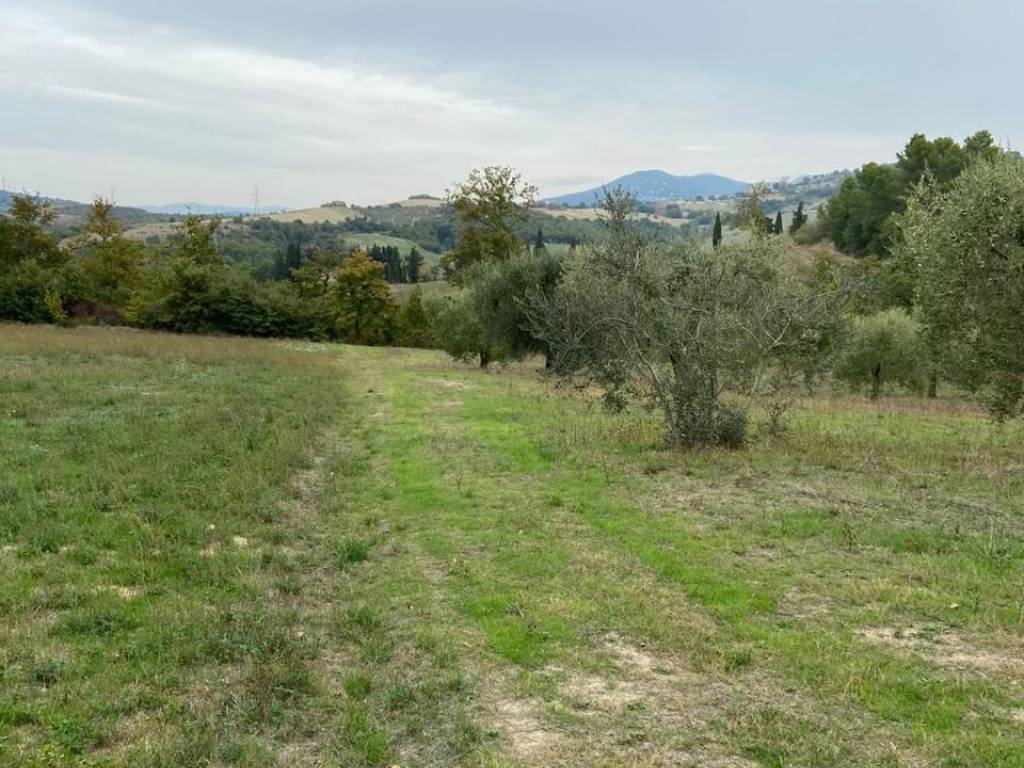 Terreno a Lugnano in teverina - Foto 3