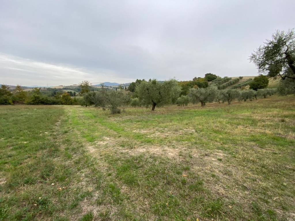 Terreno a Lugnano in teverina - Foto 5