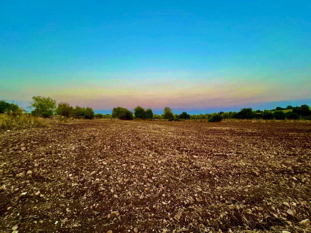 Terreno a Noto in Strada Provinciale Favarotta-Ritillini - Foto 3