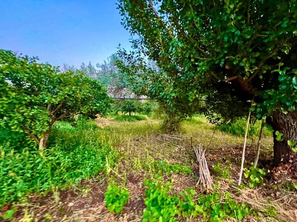 Terreno a Noto in Strada Provinciale Favarotta-Ritillini - Foto 4