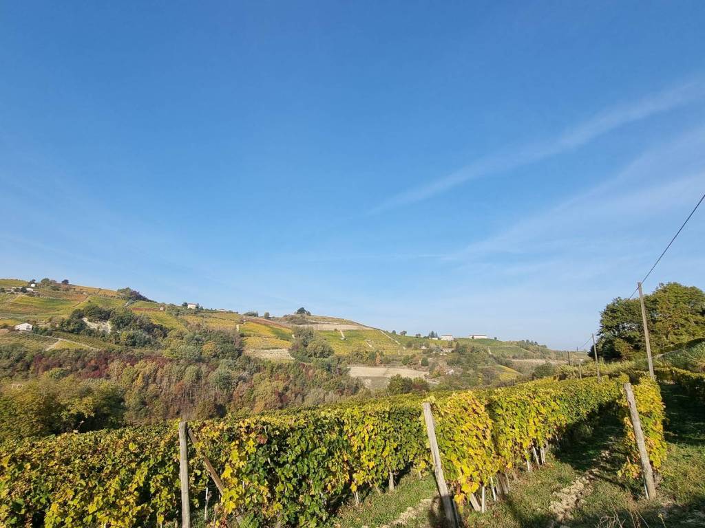 Rustico / casale a Cassinasco - Foto 3
