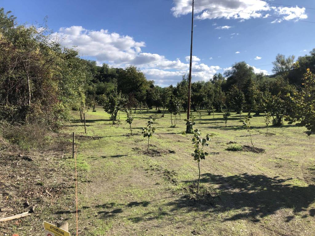 Terreno a Tufo in Via Santa Lucia - Foto 2