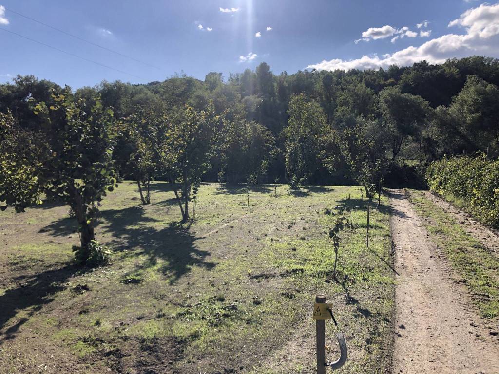 Terreno a Tufo in Via Santa Lucia - Foto 4