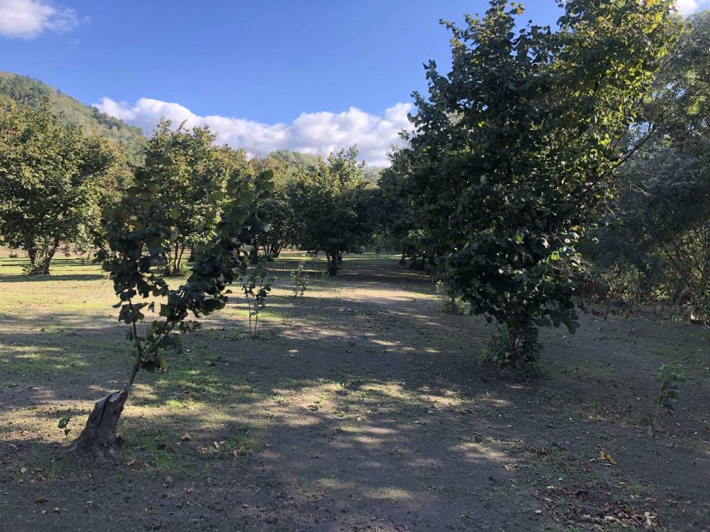 Terreno a Tufo in Via Santa Lucia - Foto 5