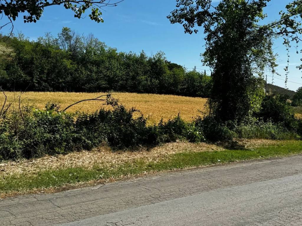 Terreno a Pianella in Via Cupello S.N.C. - Foto 2