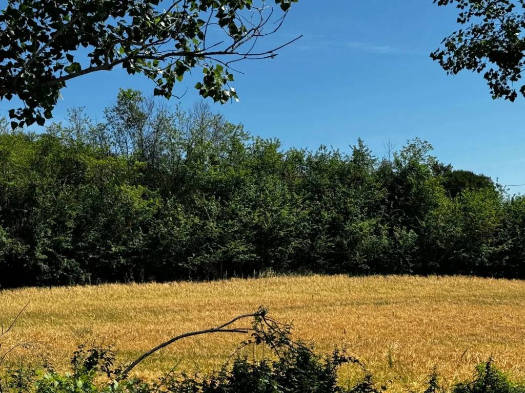 Terreno a Pianella in Via Cupello S.N.C. - Foto 3