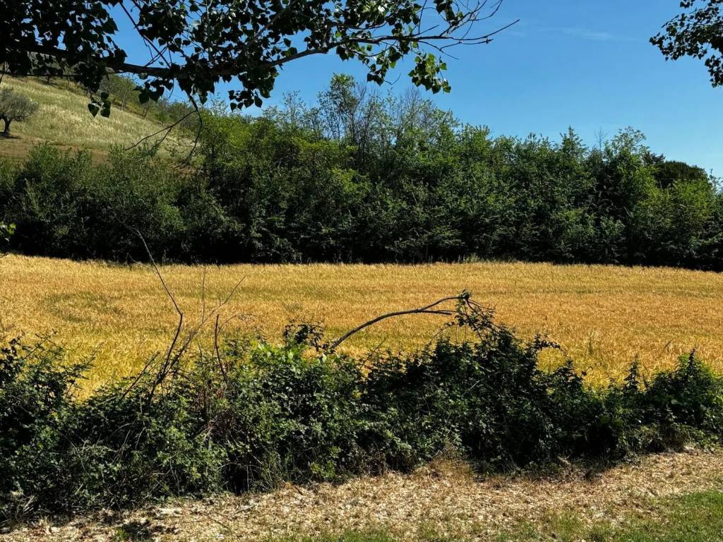 Terreno a Pianella in Via Cupello S.N.C. - Foto 4