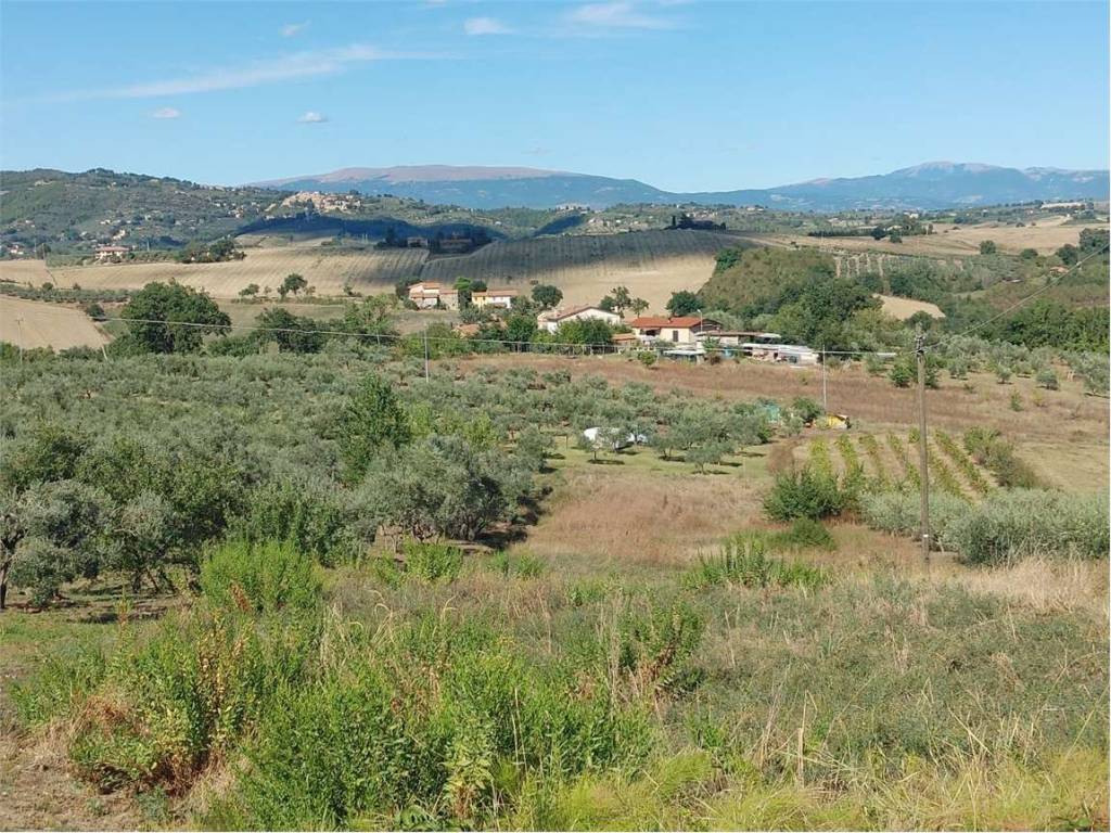 Terreno a Gualdo cattaneo - Foto 4