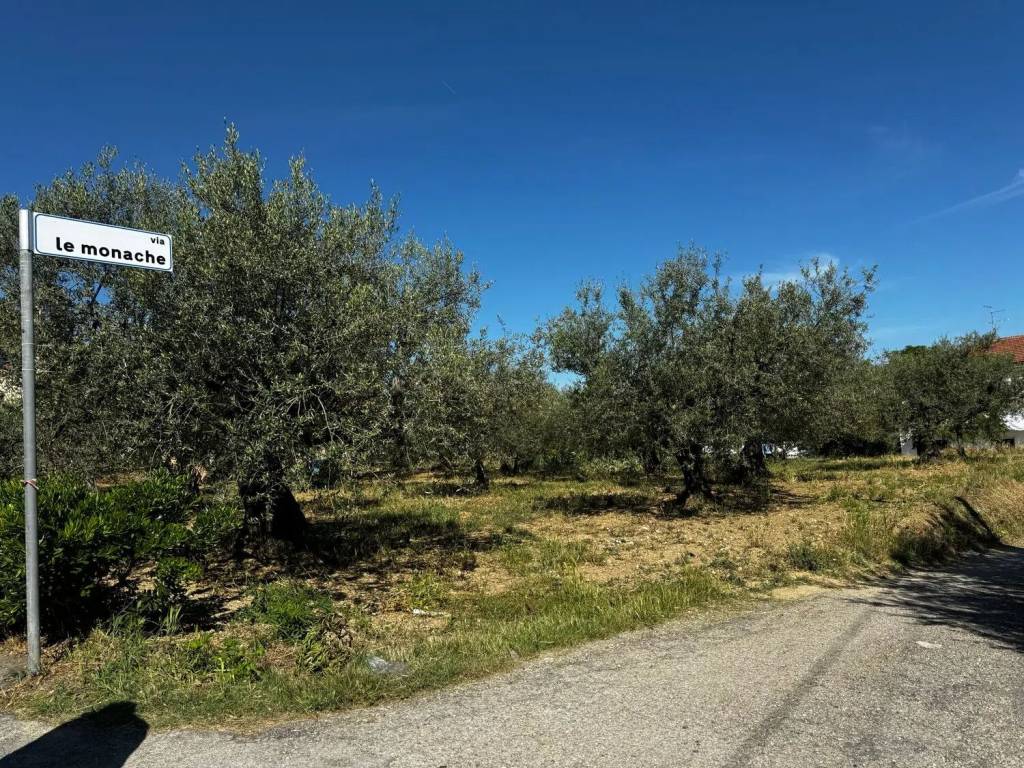 Terreno a Pianella in Via Aldo Moro S.N.C. - Foto 3