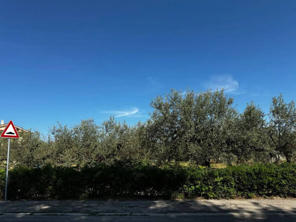 Terreno a Pianella in Via Aldo Moro S.N.C. - Foto 4