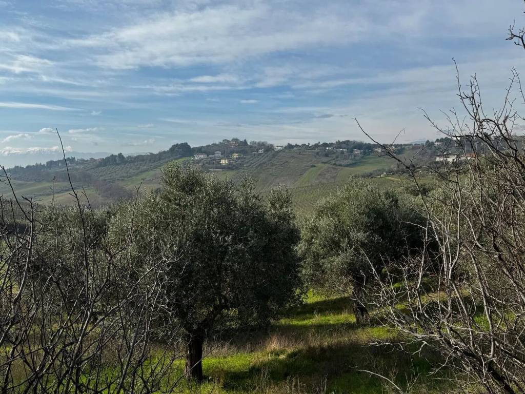 Terreno a Spoltore in Via Sangro S.N.C. - Foto 4