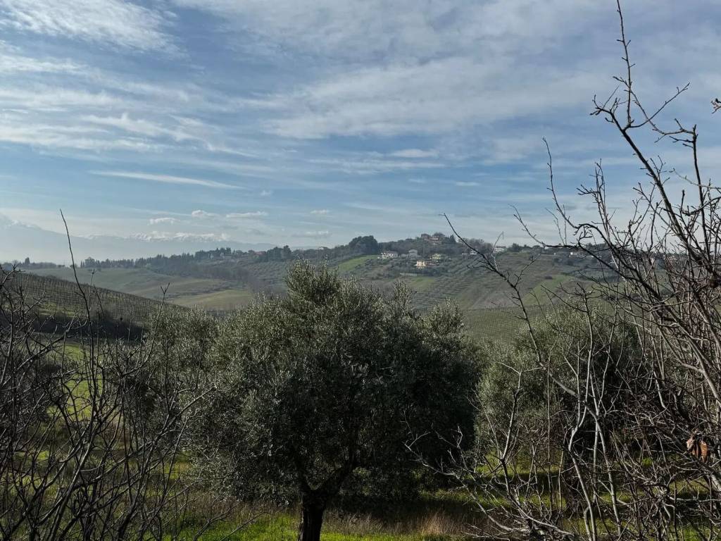 Terreno a Spoltore in Via Sangro S.N.C. - Foto 5