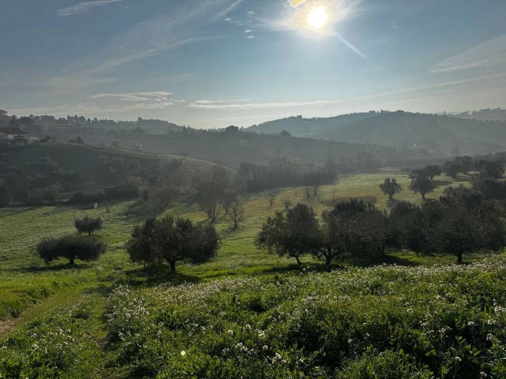Terreno a Spoltore in Via Fonte Grande S.N.C. - Foto 2